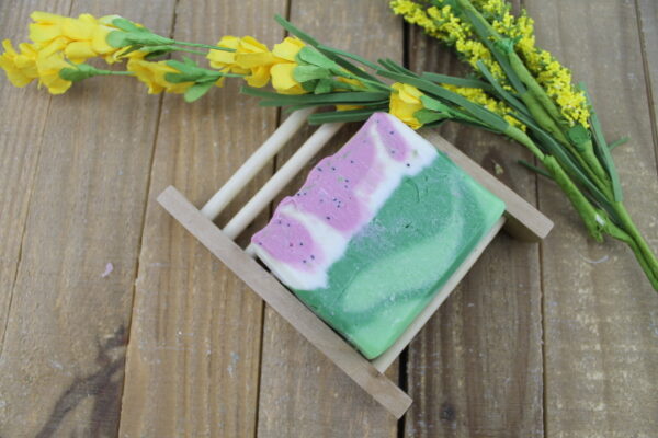 Sweet Summer Watermelon